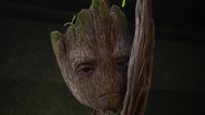 Groot annoyed