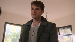 Штайн раздаёт  