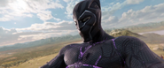 T'Challa (Black Panther)