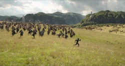 T Challa pelea al lado de los Wakandianos