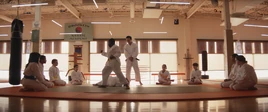 Brooklyn Karate Academy