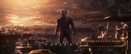 Giant-Man (Quantum Realm)