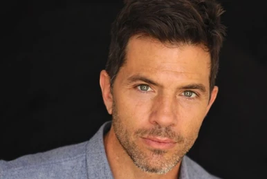 Ashley Hamilton Iron Man 3