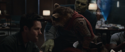 Rocket Raccoon & Scott Lang