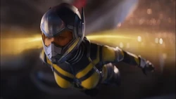 Wasp flying into  in .