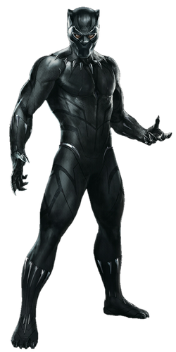Tag - black panther suit
