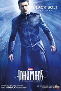 Inhumans Character Poster 06