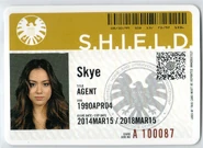 Agent Skye