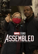 The Falcon and The Winter Soldier Assembled Temporary D+ Cover Poster.jpg (479 KB)