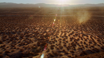 Mojave Desert