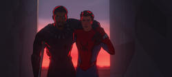 Black Panther & Spider-Man