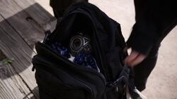 Singularity Daisy's Backpack