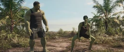 Hulk & Shulkie