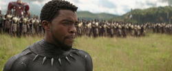 T'Challa (Battle of Wakanda)