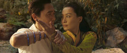 Wenwu and wife training.jpg