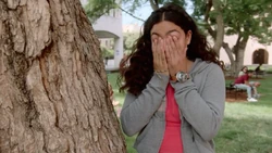 Молли наблюдает за свои .