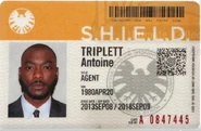 Agent Triplett