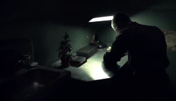 Whitehall studies at his desk