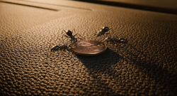 Ant-Man (film) 17.png