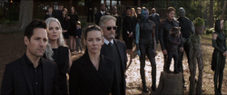 La familia Pym asiste al funeral de Stark