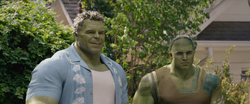 Hulk and Skaar