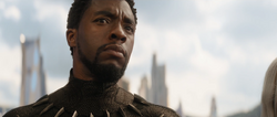 AW 50 Trailer pic.png