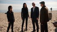 Phil-Coulson-Sif-Melinda-May-Beach-Investigation.jpg (121 KB)