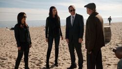 Phil-Coulson-Sif-Melinda-May-Beach-Investigation