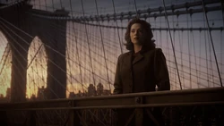 Carter decide continuar su vida sin Rogers.