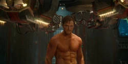 Quill es procesado en el Kyln.