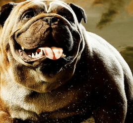 Lockjaw