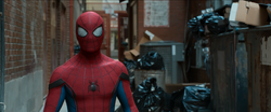 Widened Eye Lenses (Spider-Man)