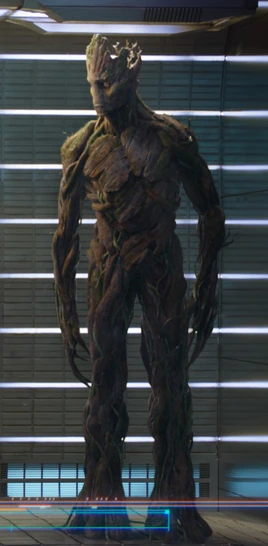 Groot