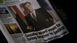 Senator news