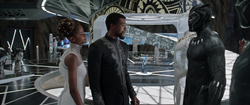 Shuri & T'Challa (Panther Habit)