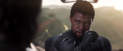 BP - T'Challa discusses bringing Everett Ross