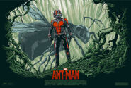 Ant-Man Mondo poster 1