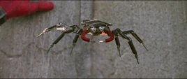 Dron Araña