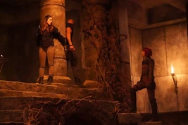 AOS 6x11 Yoyo Mack Izel