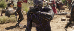 Black Panther (Infinity War)