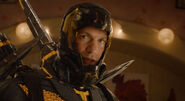 Yellowjacket antman