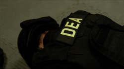 DEA agent