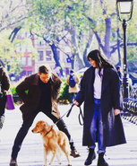 Hawkeye and Kate with dog BTS