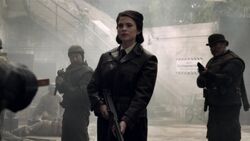 Agentcarteraos.jpg