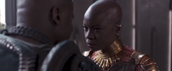 Okoye & W'Kabi Arguement 2