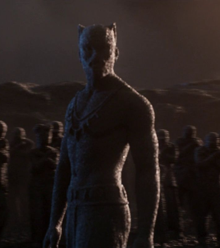 Black Panther, Marvel Cinematic Universe Wiki