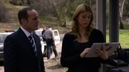 Phil-Coulson-Bobbi-Morse-Investigation-Asylum.jpg (85 KB)