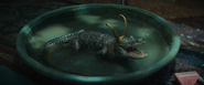 Alligator Loki (2)