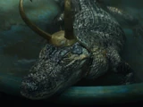Loki Lagarto