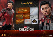 Shang-Chi Hot Toys17